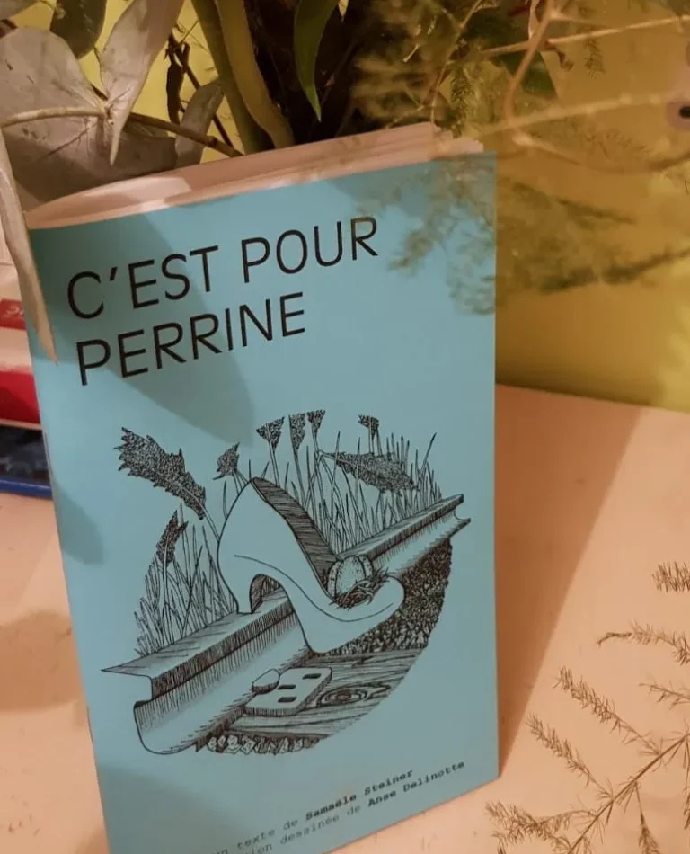 Histoire de Parloir atelier accompagnement musical crest rhones alpes